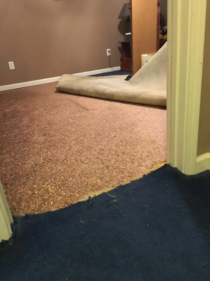 Carpet pad removal revealing water damage during Drying & Dehumidification in Hartford
